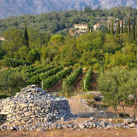 Tatil Evi Exclusive In Ilipi With Private Pool